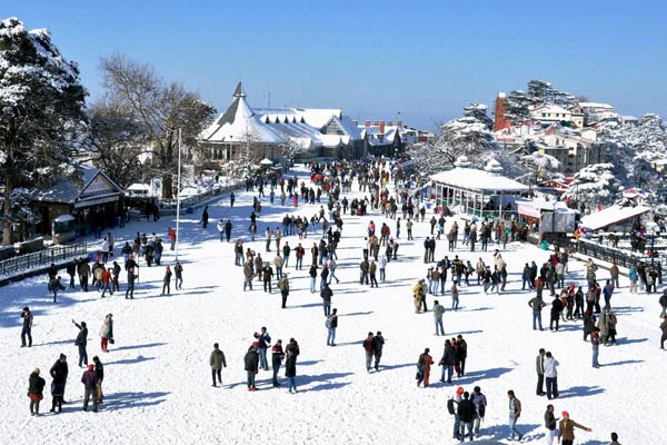 Shimla Manali Tour